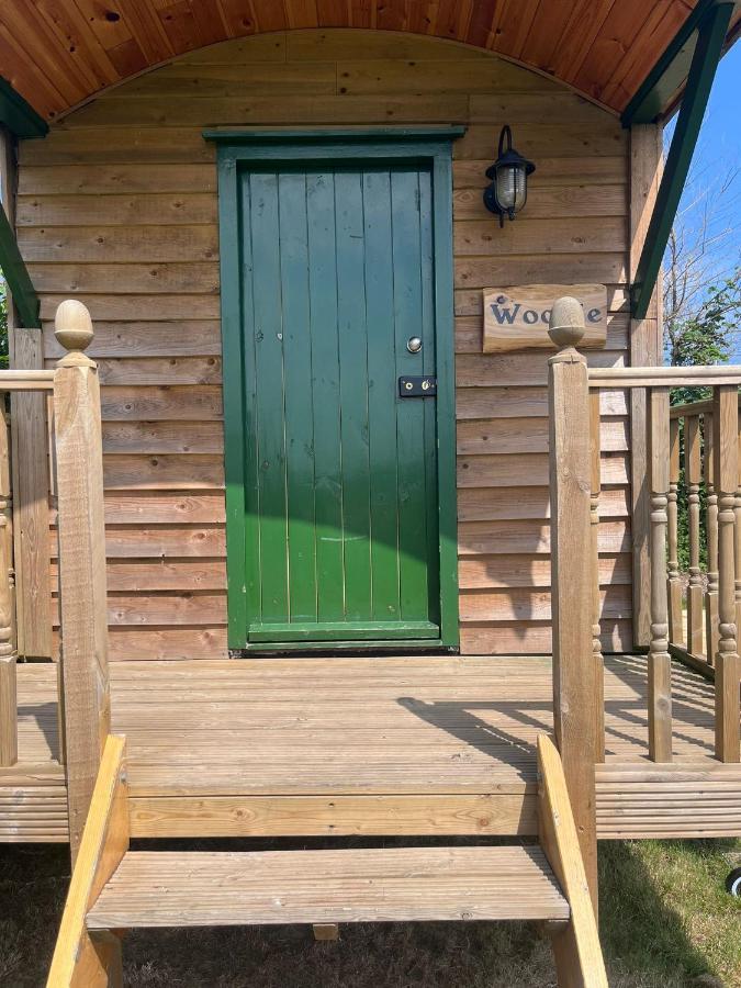 Woodie The Shepherds Hut - Sleeps 4 Chichester Exterior photo