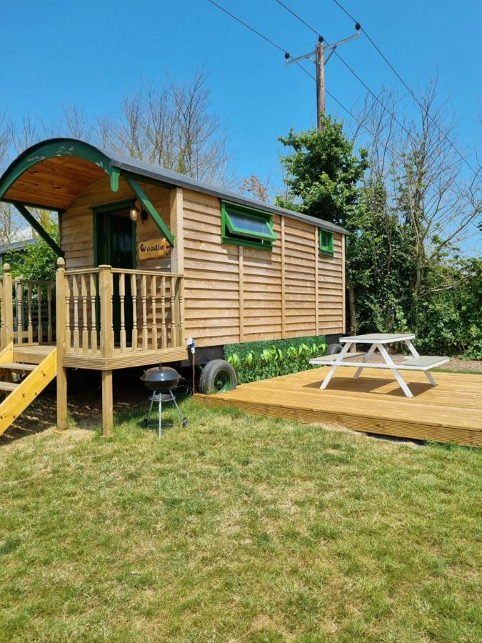 Woodie The Shepherds Hut - Sleeps 4 Chichester Exterior photo