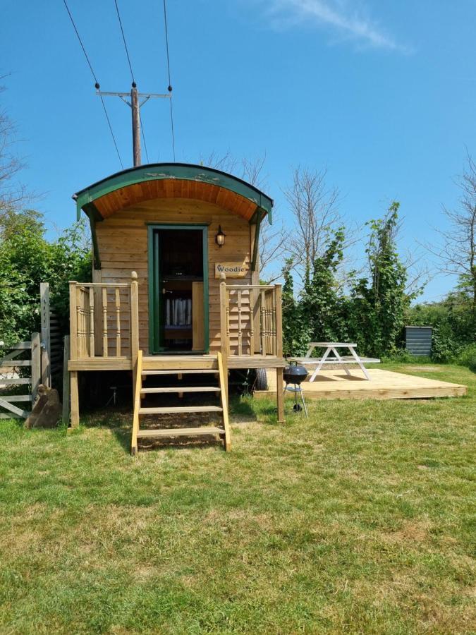 Woodie The Shepherds Hut - Sleeps 4 Chichester Exterior photo